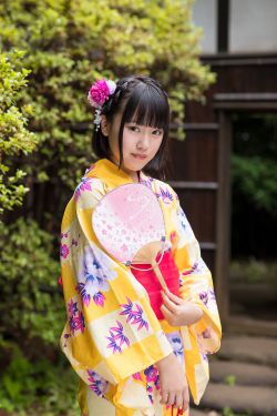 《金花瓶楷梅花2》