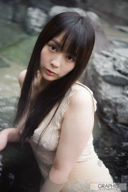 《金花瓶楷梅花2》