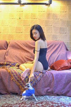 香格里拉 电视剧